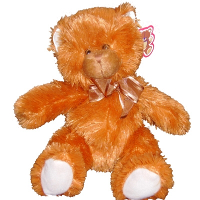 Plush Teddy Bear - Recalls and safety 